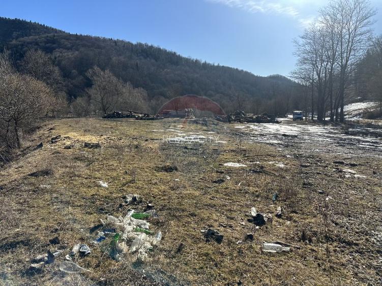 Teren 1,340mp Cuejdiu / Strada Cuejdiului - 2