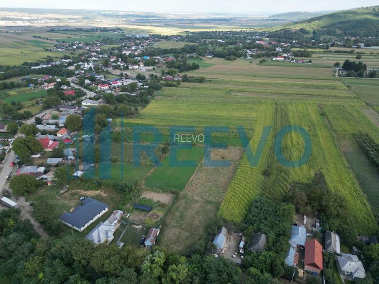Teren intravilan 4.000 mp Blăgești, Bacău - 3