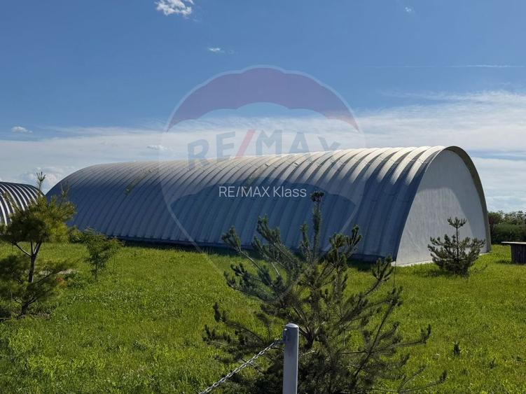 4 HALE INDUSTRIALE INDIVIDUALE SUPRAFATA TOTALA 1.407 mp, Acces DN 1 - 19