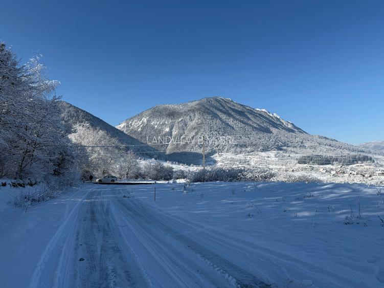 Teren intravilan 500 sau 1000 mp Bran-Tohanita la dum asfaltat - 26