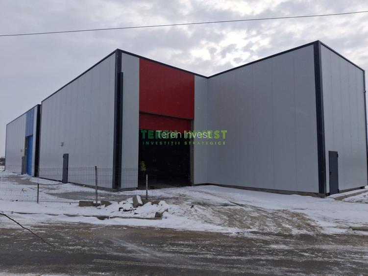 Hala depozitare -  Cernica - 8