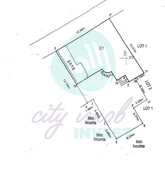 Casa cocheta cu gradina - 4