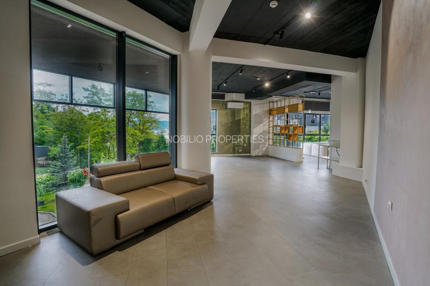 Spatiu comercial de vanzare, zona Taietura Turcului, cu preluare chiriasi - 13