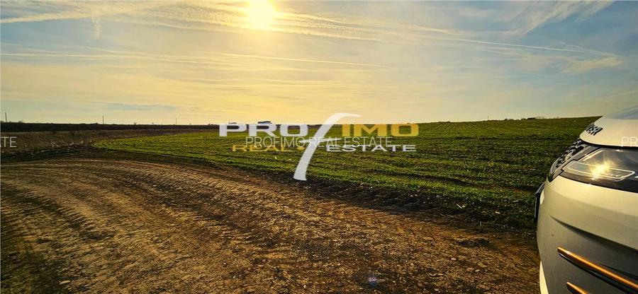 Teren 3823 mp. intravilan - Autostrada - Dedeman Agigea - 3