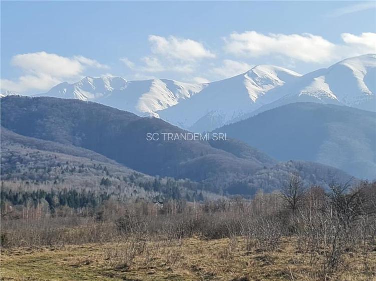 Teren intravilan 2500mp  pe Valea Avrigului,optim casa de vacanta - 13