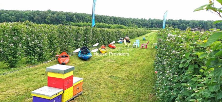 Teren Snagov Izvorani, loturi 500 - 1000Mp - 4