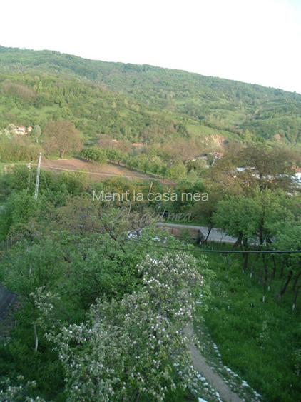 Drajna de Jos 5000 mp Teren +Casa demolabila ! - 2
