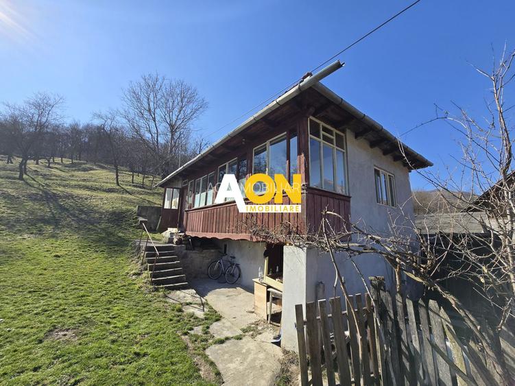 Casa de Vacanta 2 Camere, Strada Morilor Zlatna - 16