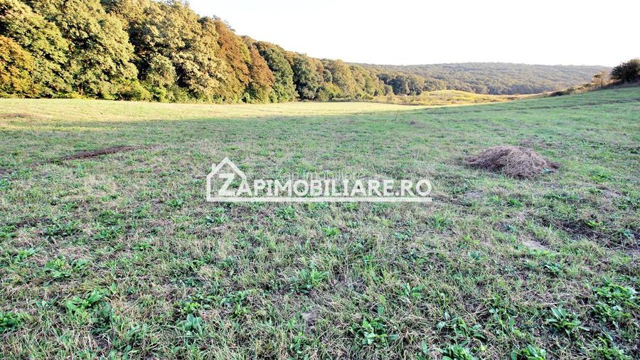 De vanzare 2 terenuri de 29.500 mp si 1.400 mp.29 euro mp - 9
