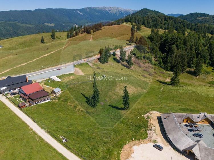 Teren 56599mp Dambovicioara / Soseaua DN 73Dealul sasului! - 11