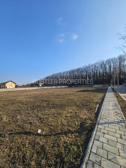 Teren de vanzare in Corbeanca - 3937 mp, amplasat intr-un cartier rezidential. - 2