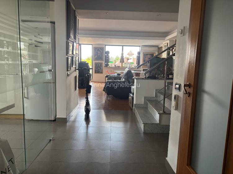 Kiseleff, proprietar vand penthouse cu vedere panoramica  - 2