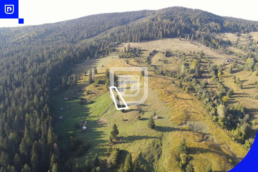 Teren situat in Frasin | BUCOVINA - 7