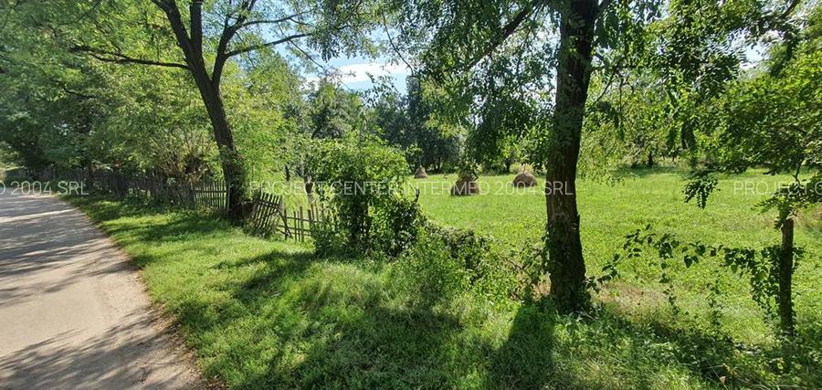 Teren Poienari la doar 9 km de Cetate - 4