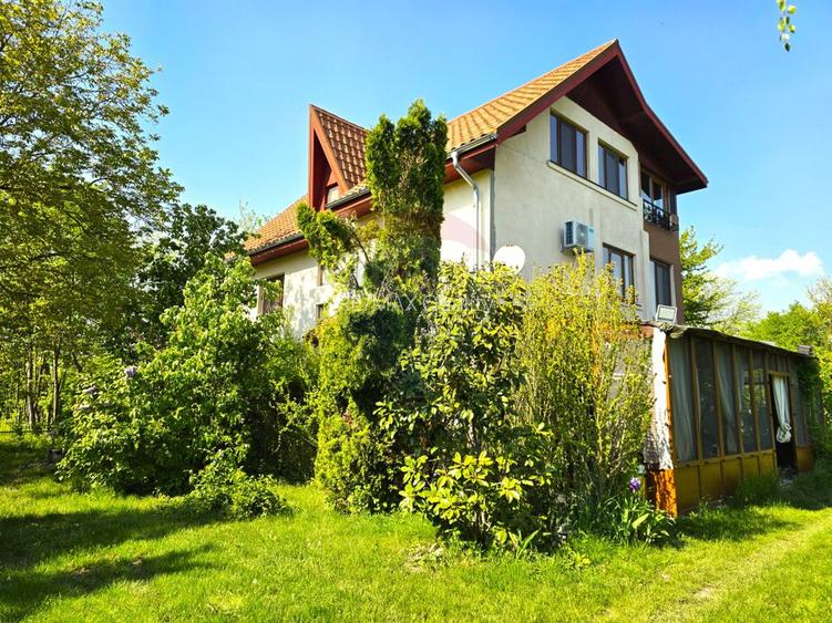 Proprietate unica, deschidere generoasa directa la lacul Snagov - 37
