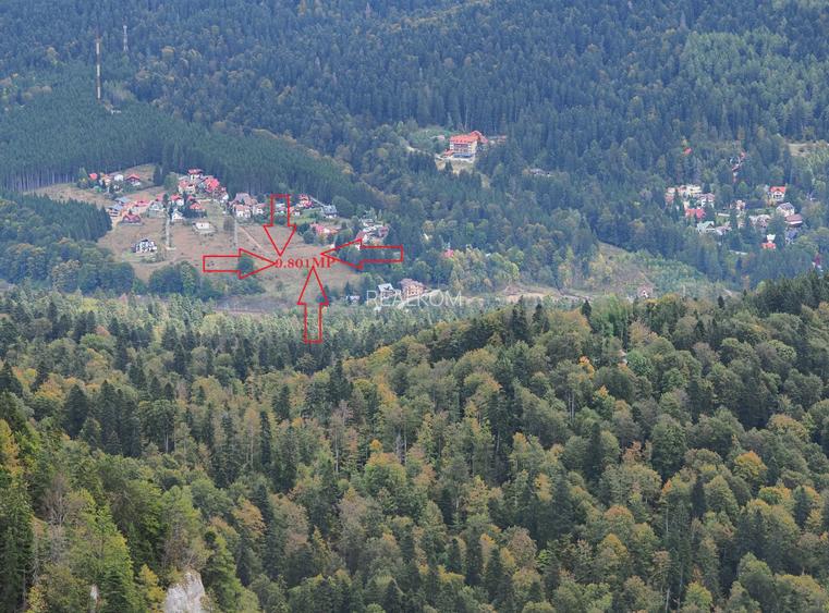 TEREN PENTRU DEZVOLTARE SINAIA-CUMPATU Str. Zamora-9.801 mp-Comision 0% - 23