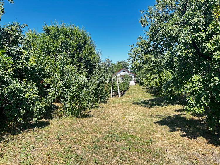 CASA DE VANZARE-BUZAU SAT CUCULEASA - 3