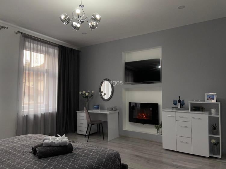 De vânzare apartament central, 2 camere tip Studio - 3
