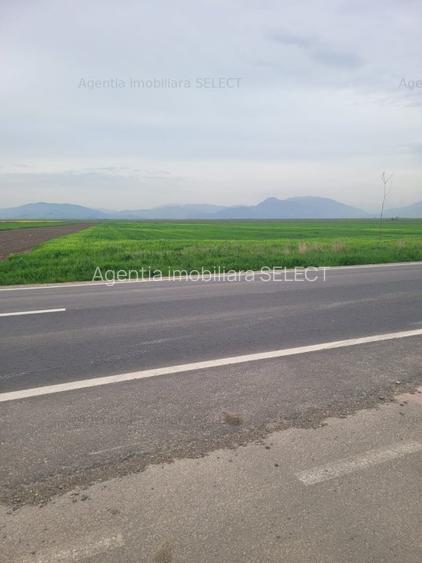 Teren zona Parc Prejmer - 4