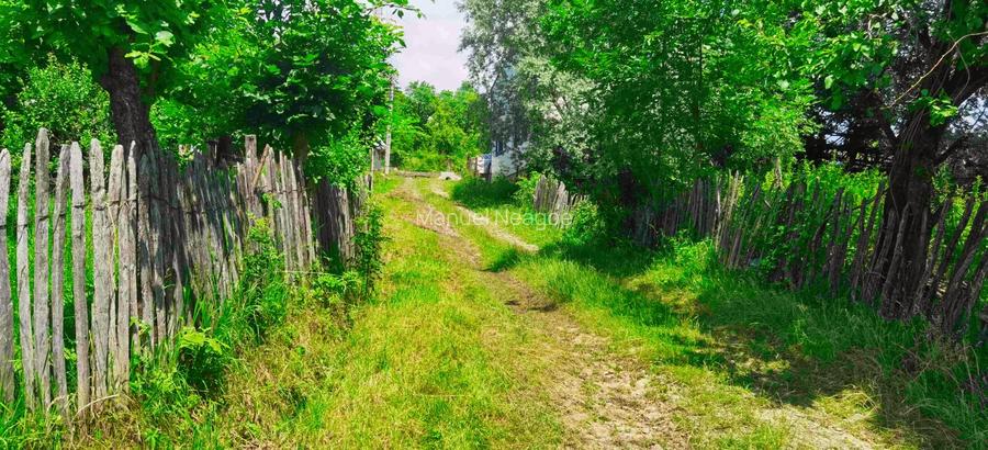 Teren intravilan Talea situat in mijlocul naturii ! - 15