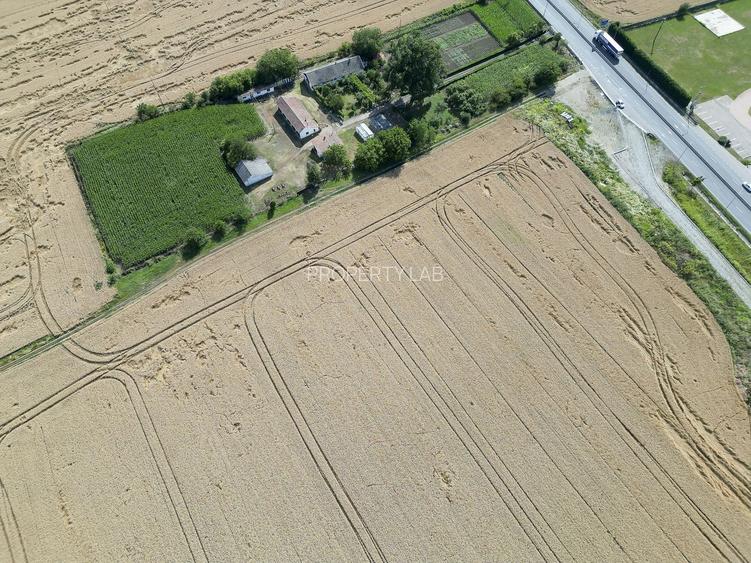 Teren 7653mp cu PUZ aprobat DN Arad Oradea - 10