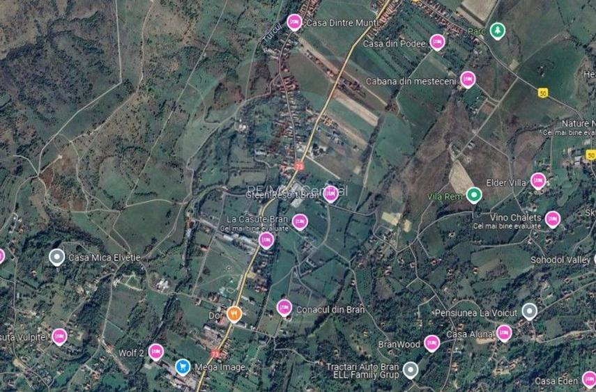 Teren Tohanul Nou 4500mp, in spate Wolf - 14
