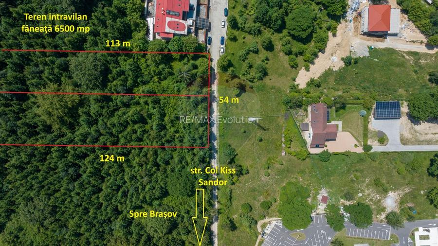 Teren intravilan, 3000 mp, Dâmbu Morii - 6