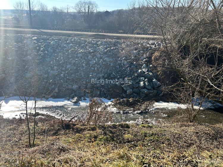 Teren intravilan pentru casa 2400 mp front 16ml Radaia sub pretul pietei  - 4
