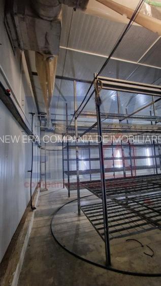 DE VANZARE Platforma cu  2 hale de 2074 mp amplasate pe un teren de 8762 mp - 5