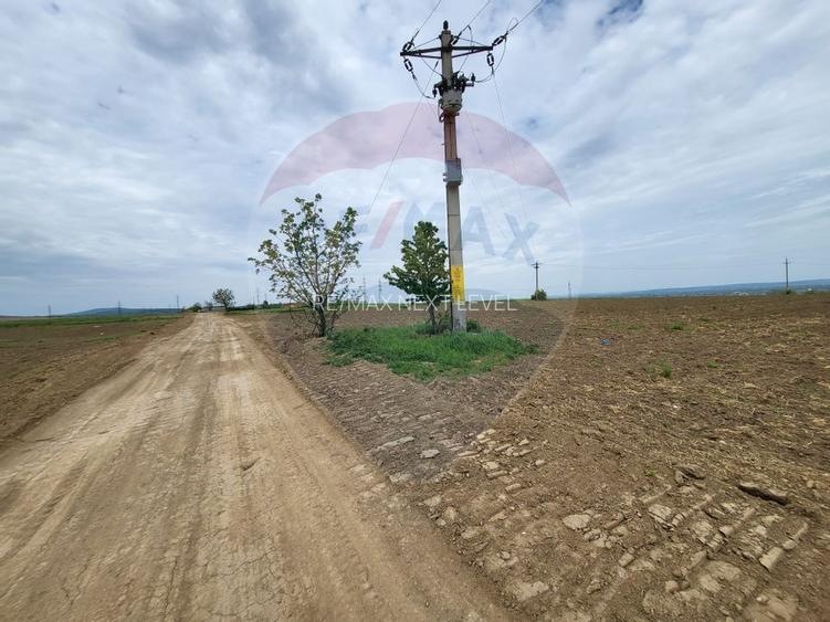 Teren in Magura/Bacau de vanzare - 3