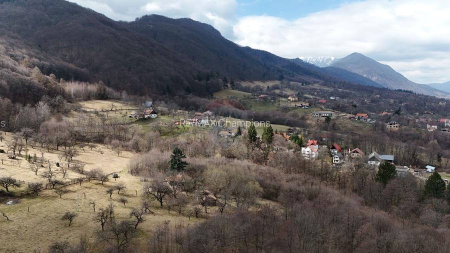 16 E+TVA/mp: Teren Bran Predelut 24253 mp intravilan proiect turistic - 2