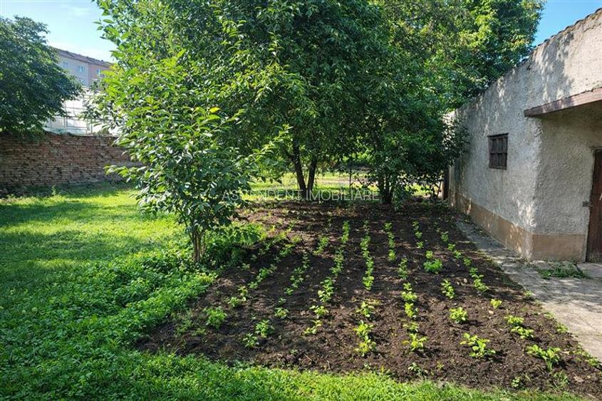 Casa cu acces, curte si gradina proprie, 1.000 mp teren, Central - Prejmer, Bras - 4