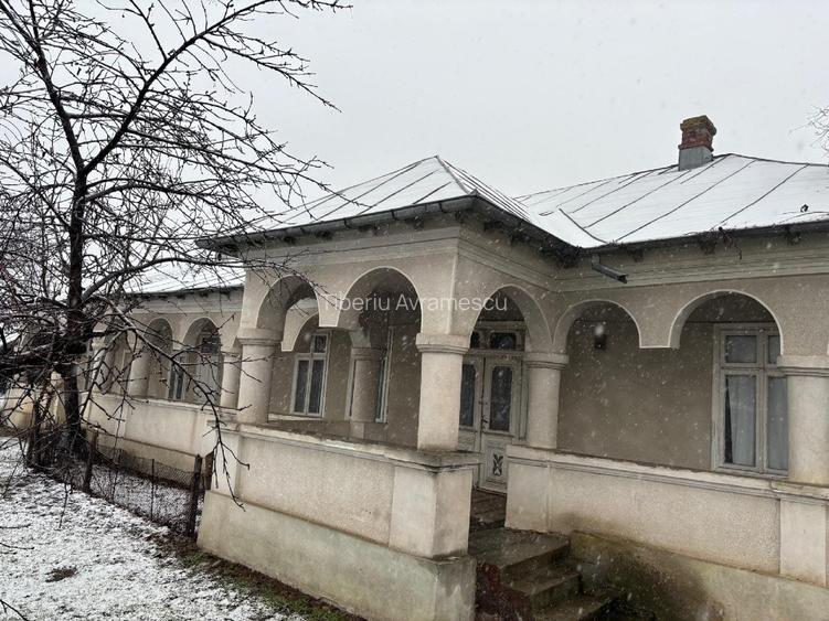 Vand gospodarie taraneasca traditionala - 12