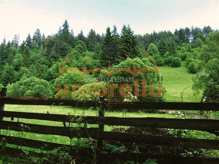 TEREN DE VANZARE 34.201m²/20€ m² IN VARSAG HARGHITA - 16