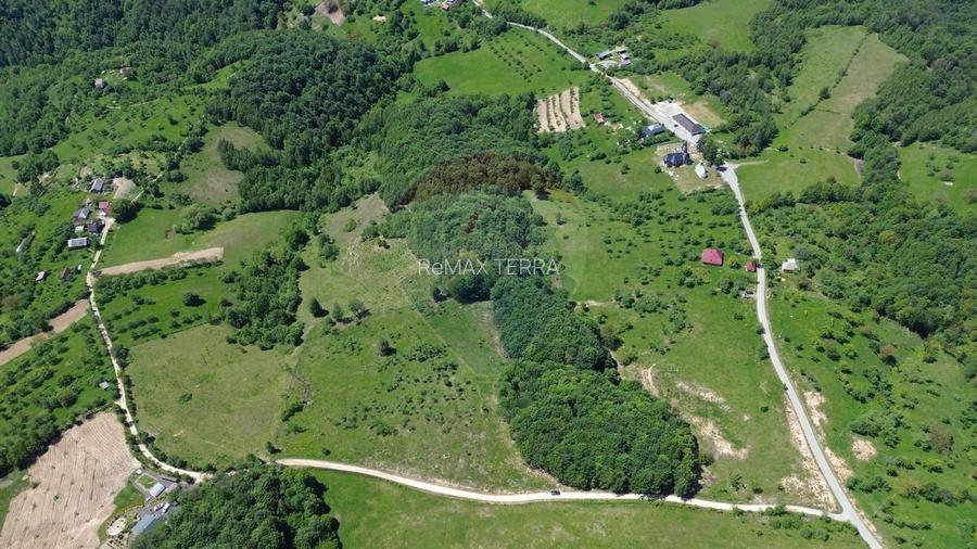 Teren intravilan de vanzare 55 600 mp Codru Butesii - 3