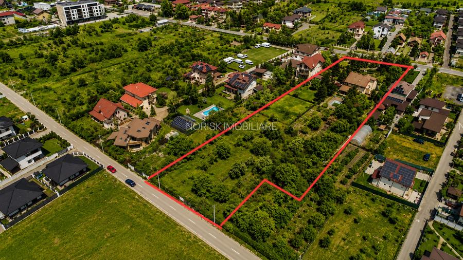 Oportunitate Rară în Ciorogârla– 8.000 mp Teren | Dublu Acces Asfaltat - 2