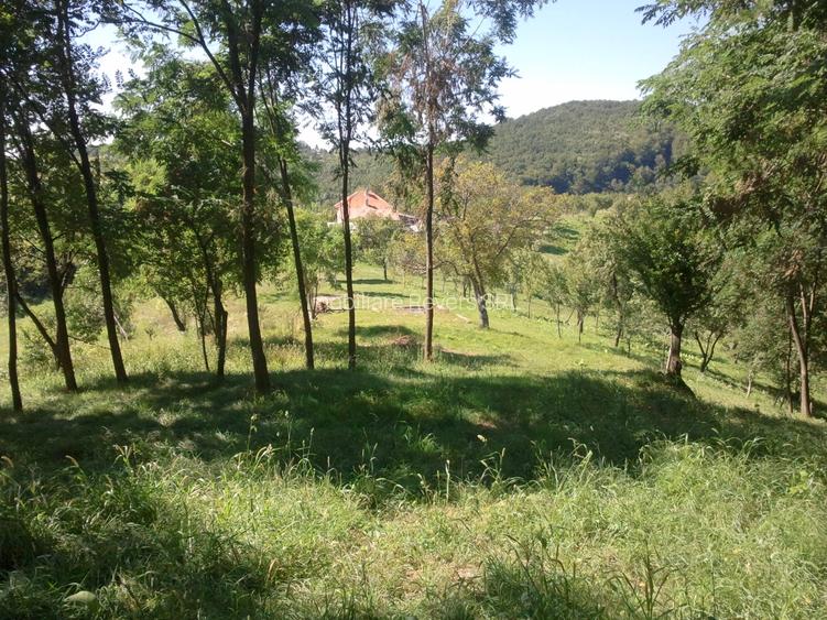 Teren livadă cu panoramă superbă Dealul Malului pentru casă sau cabană - 8