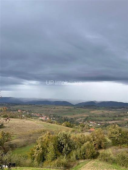 TEREN | 9341 MP | BALNACA GROSI | BIHOR - 11