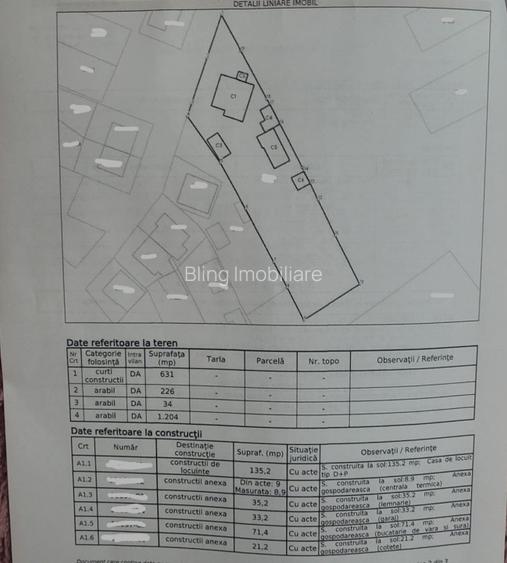 Casa de vanzare Targu Lapus zona centrala cu teren 3800mp si anexe  - 3