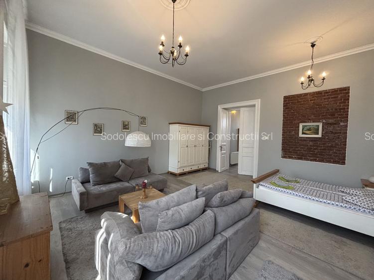 Apartament cu o camera în clădire istorică ,zona Maria - 2