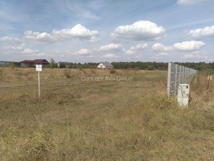 Teren Izvorani COR - 2