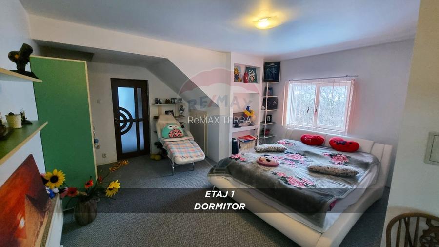 Casă / Vilă cu 10 camere de vânzare în SIGHETUL MARMATIEI zona Central - 25