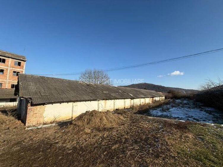 Spatiu comercial/Industrial multifunctional: productie, depozitare, logistica, R - 4