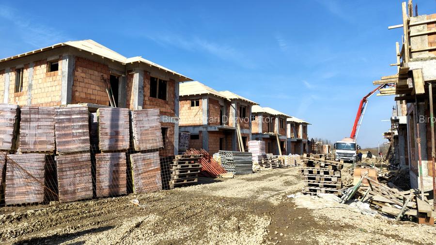 Vile individuale padurea Rosu - 10