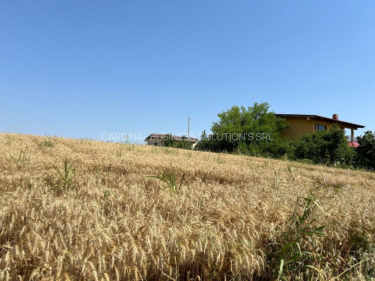 Ciolpani -Ilfov - teren 4000 mp - 3