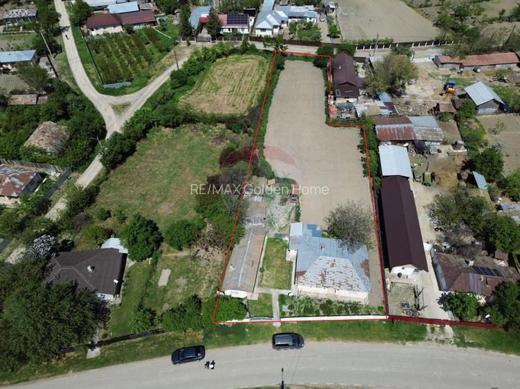 Casă / Vilă Hângulesti - 10