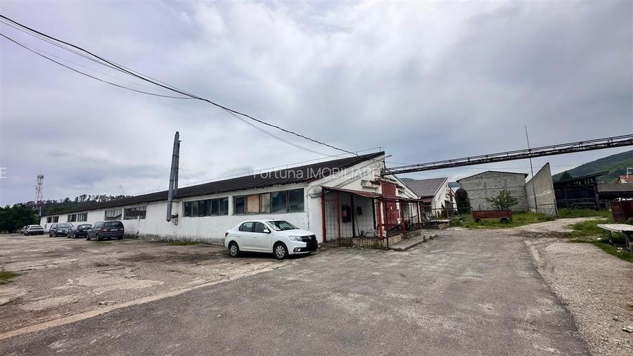 Hale industriale Teliu - 145000e  200.000e  350000e - 5