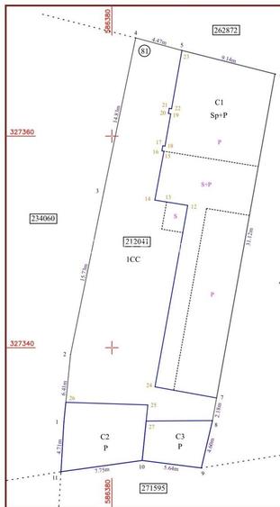 Casa individuala Cismigiu - 14