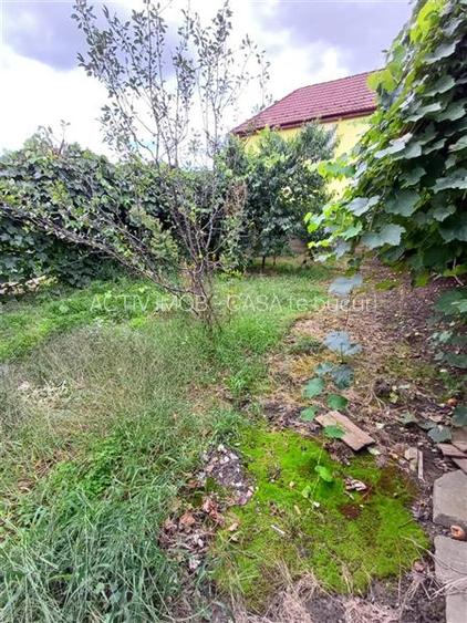 Casa de vanzare in Talmaciu - 20