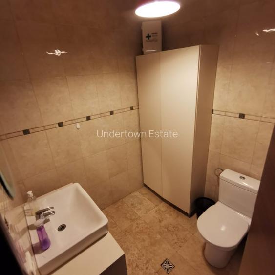 Dorobanți - Office Duplex ( Private yard ) - 14